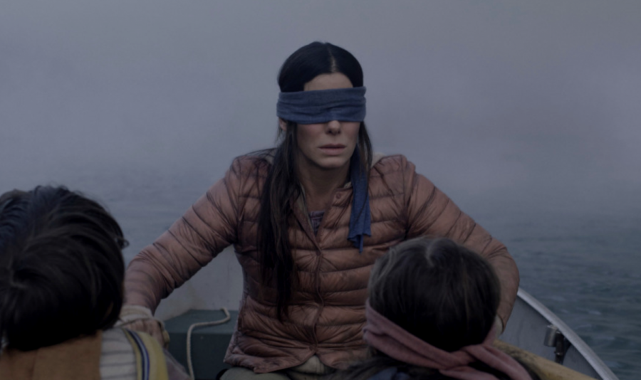 Bird Box does not live up to its meme-filled hype