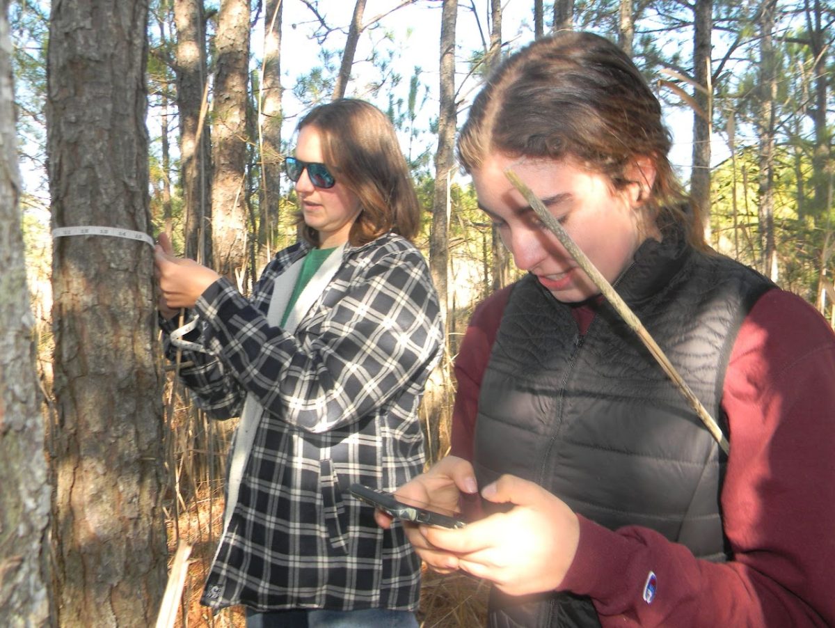 Senior Aubrey Moore (left) and senior Madison Bair (right) conducting a tree count in Pleasure House Point. Both are students in the Enviormental Studies Program. 