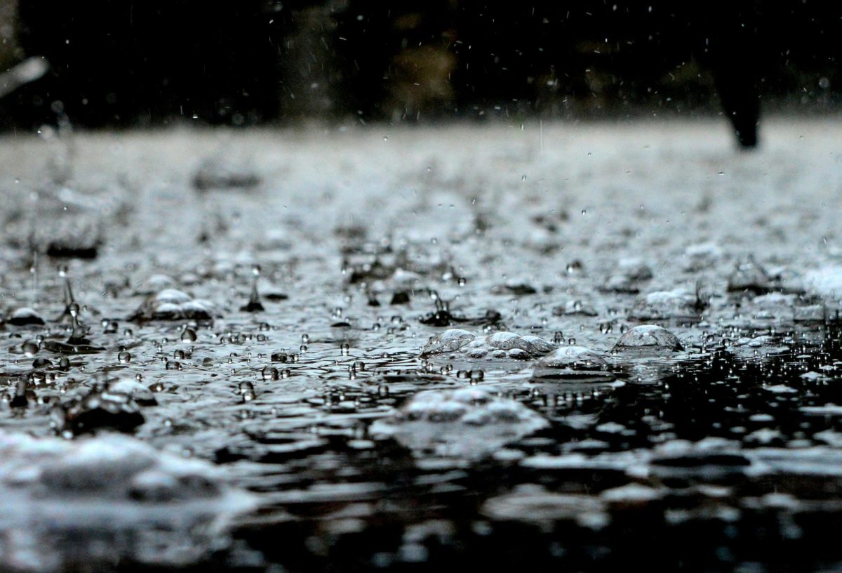 The Rain
